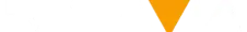 Google Partner